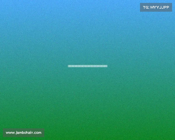 德甲历史冠军回顾与分析：从首个赛季到现代霸主的演变历程