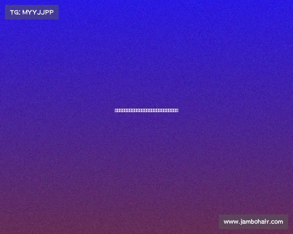 以第戎为中心探索法国东部文化遗产与美食之旅的多样魅力